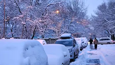 погода в южной столице зимой, фото - Новости Zakon.kz от 02.02.2024 17:37