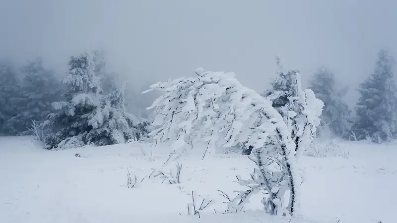 Снег с метелью: какой будет погода 4 февраля