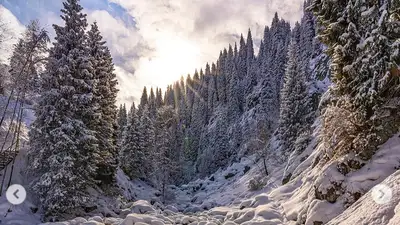 Зимняя сказка: фотограф из Алматы поделился красивыми снимками