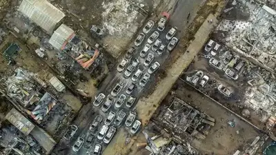 Число погибших в сильных лесных пожарах в Чили увеличилось до 64