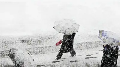 Небывалые снегопады в Японии: госпитализированы 40 человек, 10 тыс.остались без света