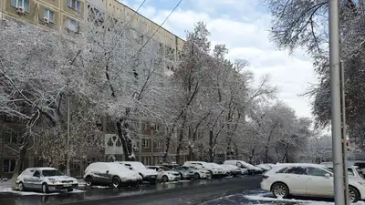 Правила платных парковок в Алматы