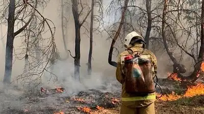 В Казахстане обновили Правила пожарной безопасности в лесах