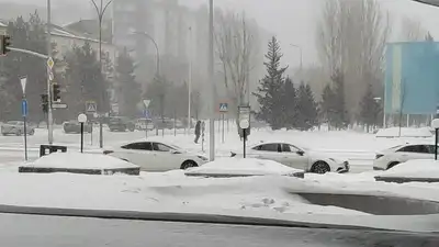 Сколько машин застряли на КПП из-за метелей в Казахстане, фото - Новости Zakon.kz от 09.02.2024 17:41