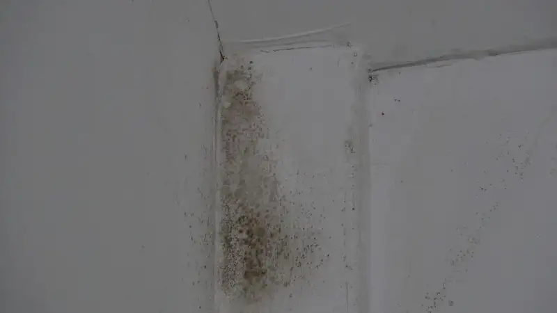 жильцы жалуются на сырость в квартирах, фото - Новости Zakon.kz от 09.02.2024 19:15