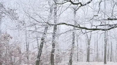 , фото - Новости Zakon.kz от 11.02.2024 17:21