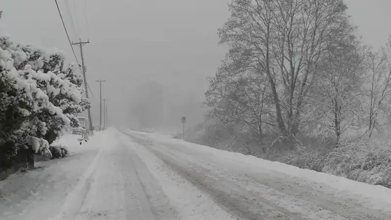 Автодороги закрыли из-за непогоды в Алматинской области, фото - Новости Zakon.kz от 12.02.2024 21:44