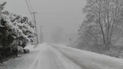 Движение авто ограничили из-за непогоды на трассах почти во всех областях Казахстана , фото - Новости Zakon.kz от 15.02.2024 01:03