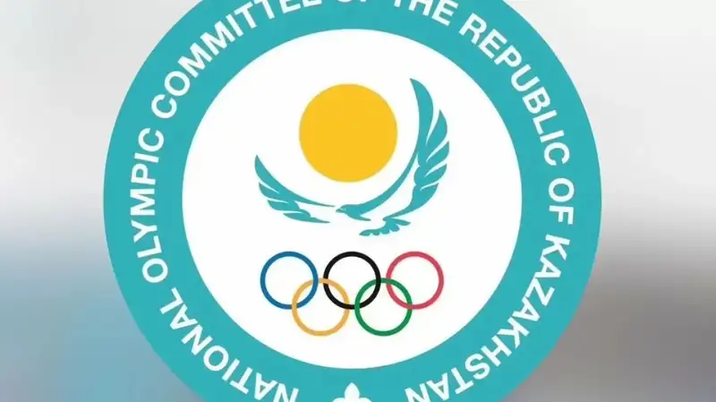 Закон рк 2024. Антикоррупционные принципы. О противодействии коррупции. Конституция казахстана 1995. Закон о правоохранительной службе.