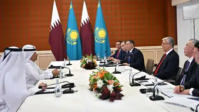 Токаев обсудил с главой совета директоров Nebras Power сотрудничество в сфере энергетики, фото - Новости Zakon.kz от 14.02.2024 21:02