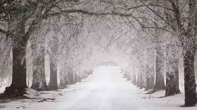 закрытые дороги, фото - Новости Zakon.kz от 15.02.2024 18:11