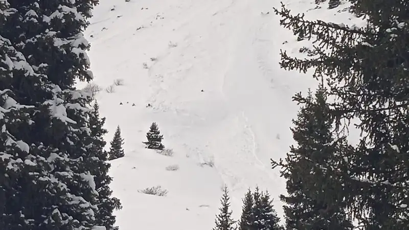 Девять снежных лавин сошли в горах Алматы