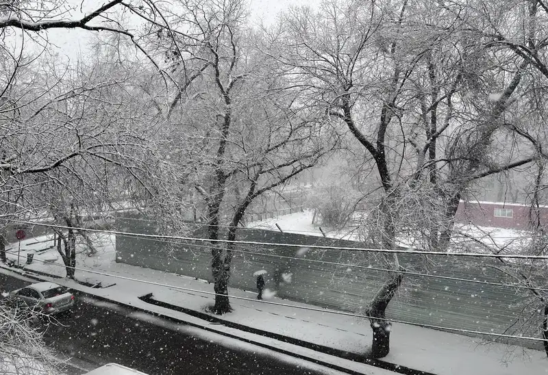В Алматы начался сильный снегопад, фото - Новости Zakon.kz от 16.02.2024 10:10
