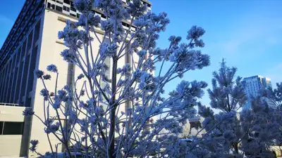 Сильные морозы в Алматы: ДЧС сделал предупреждение, фото - Новости Zakon.kz от 16.02.2024 09:39