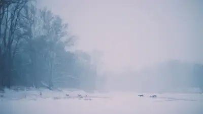 Пропавшего в буран карагадинца ищут при помощи вертолета, фото - Новости Zakon.kz от 16.02.2024 13:09