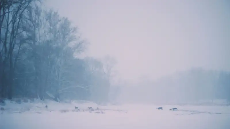 Пропавшего в буран карагадинца ищут при помощи вертолета