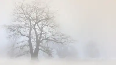 В пяти городах РК обещают неблагоприятные метеоусловия, фото - Новости Zakon.kz от 17.02.2024 05:11