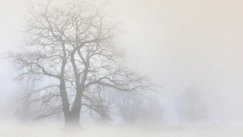В пяти городах РК обещают неблагоприятные метеоусловия