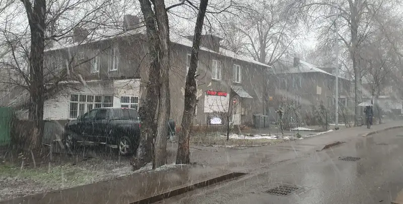 В Алматы начался сильный снегопад, фото - Новости Zakon.kz от 16.02.2024 10:10