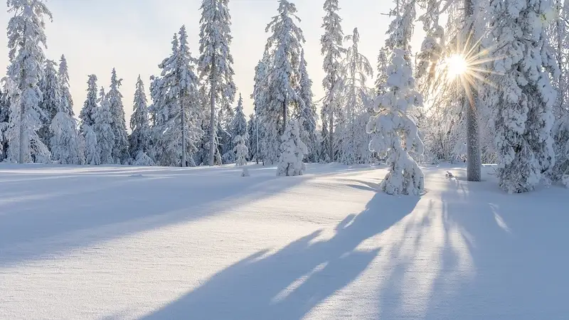 Дорожники сделали заявление в связи с сильным морозом до 40 градусов в ВКО
