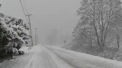 В ВКО двух больных детей пришлось на спецтехнике доставить в соседнее село, фото - Новости Zakon.kz от 18.02.2024 19:15