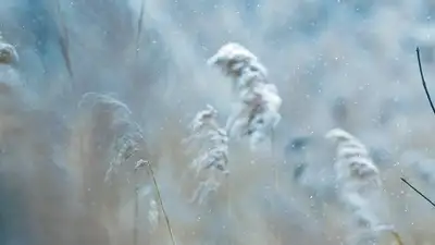 Неблагоприятные метеоусловия обещают синоптики в семи городах РК, фото - Новости Zakon.kz от 20.02.2024 05:10