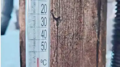 температурный рекорд в Семей орманы