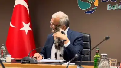 совещание прервал котенок, фото - Новости Zakon.kz от 24.02.2024 09:18