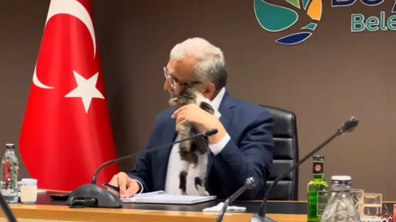 Котенок прервал совещание мэра в Турции