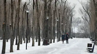 Почему в Алматы в дневное время горят уличные фонари, фото - Новости Zakon.kz от 26.02.2024 10:07