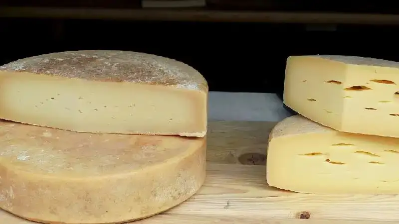 Чем опасны веганские молочные продукты