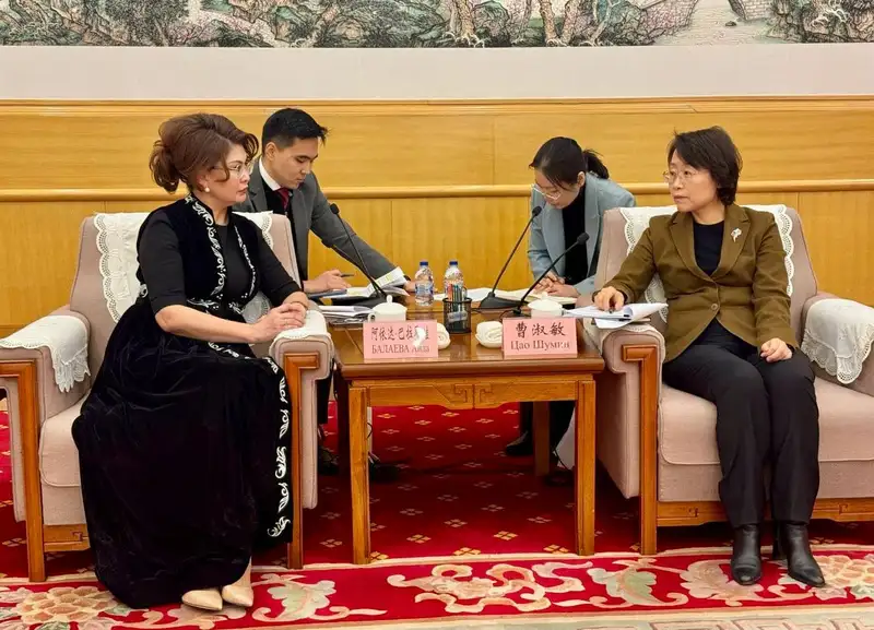 Балаева посетила Китай с рабочей поездкой, фото - Новости Zakon.kz от 27.02.2024 16:20