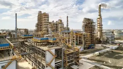 расследование, фото - Новости Zakon.kz от 27.02.2024 19:42