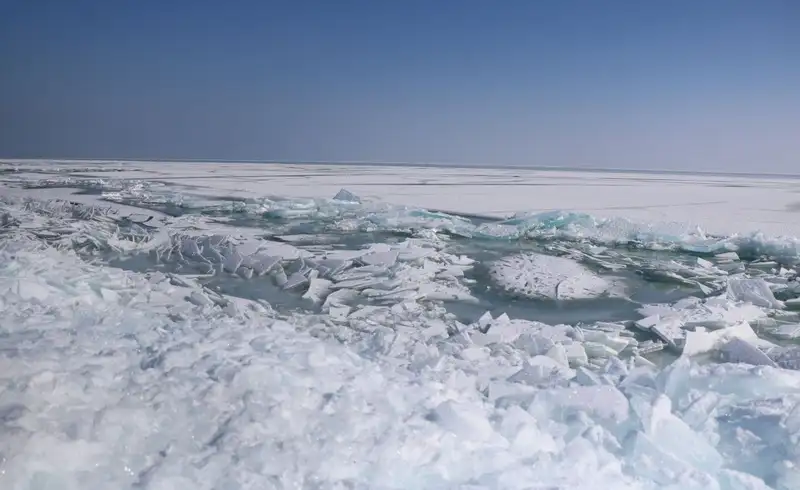 Казахстанцам показали завораживающие кадры зимнего Капчагая, фото - Новости Zakon.kz от 28.02.2024 17:42