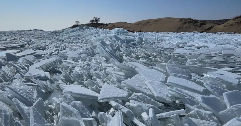 Казахстанцам показали завораживающие кадры зимнего Капчагая, фото - Новости Zakon.kz от 28.02.2024 17:42