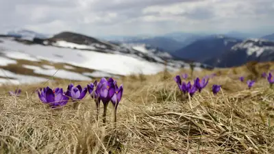 Какой будет погода в Казахстане 29 февраля и в первые дни весны