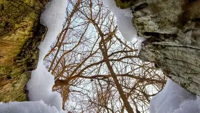 Фотограф показал последний день зимы в роще Баума
