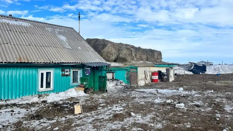 Представители МСХ РК выехали в районы Акмолинской области, где зафиксирован падеж лошадей, фото - Новости Zakon.kz от 01.03.2024 20:30