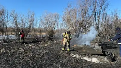 Тростниковой пожар на побережье Каспия: сгорело 1000 гектаров