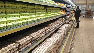 Помощь России: сколько яиц отправил Казахстан