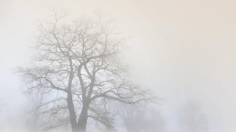 Туман и сильный ветер: в ряде регионов Казахстана объявили штормовое предупреждение