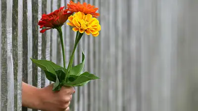 Из каких стран завозят цветы в Казахстан