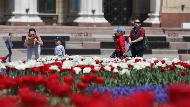 Депутат предложил выплачивать казахстанским матерям единовременные выплаты на лечение