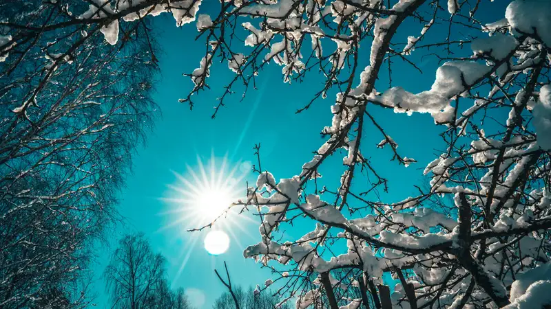 Снег, дождь и туман ожидаются в Казахстане