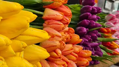 Почем букет к 8 марта: фоторепортаж с цветочного рынка Алматы