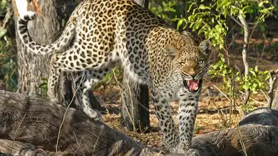 Зоопарк, фото - Новости Zakon.kz от 08.03.2024 06:24