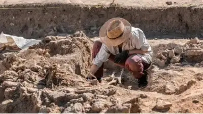 исследование, фото - Новости Zakon.kz от 08.03.2024 19:45