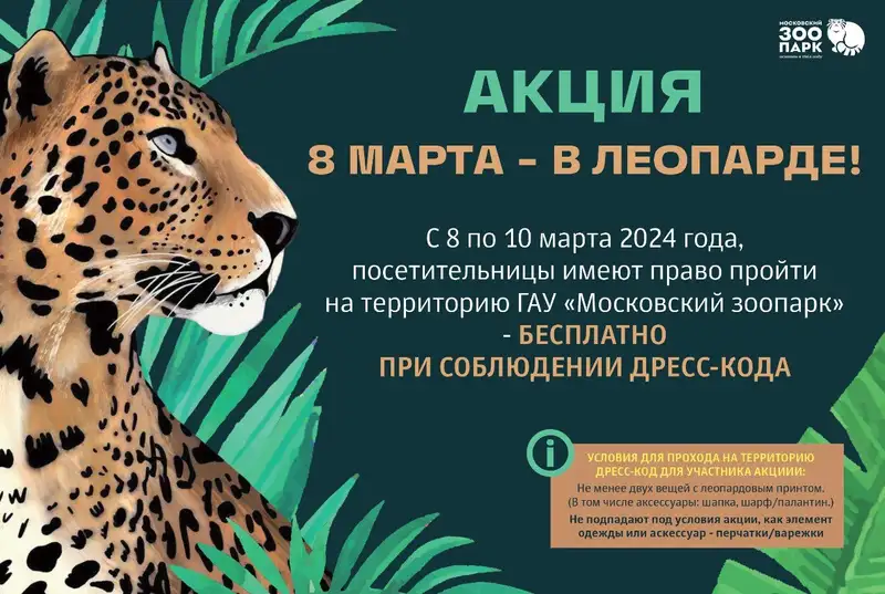 Зоопарк, фото - Новости Zakon.kz от 08.03.2024 06:24