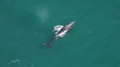 Атлантический океан, фото - Новости Zakon.kz от 09.03.2024 08:40