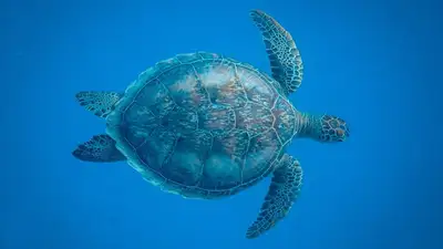 , фото - Новости Zakon.kz от 10.03.2024 17:27